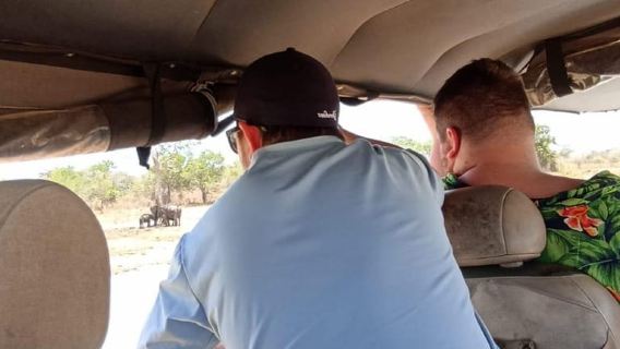 Yala National park Safari Tour From Colombo / Galle