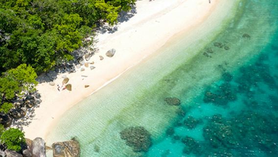 Full-Day Fitzroy Island: Solo transbordo