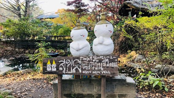 Nami Island+Petite France+Gapyeong Rail Bike+Garden of Morning Calm