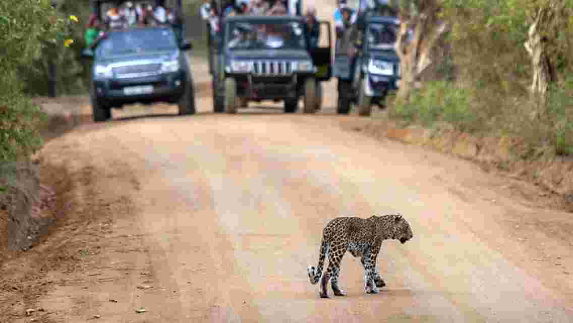 2 Days Tour to Galle & Udawalawe National Park