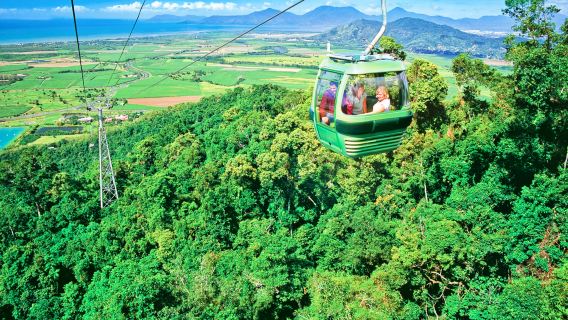 團後送機·開恩茲庫蘭達熱帶雨林自然公園一日遊
