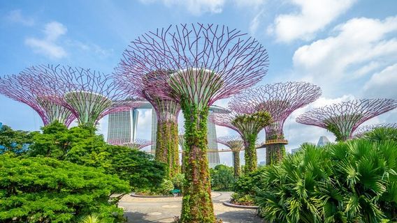 SingaporeTours