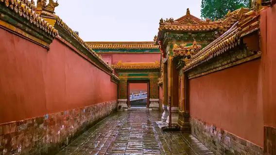 【深度線上】故宮精講/優選vip/中高級導遊3H/散客拼/25人精緻團