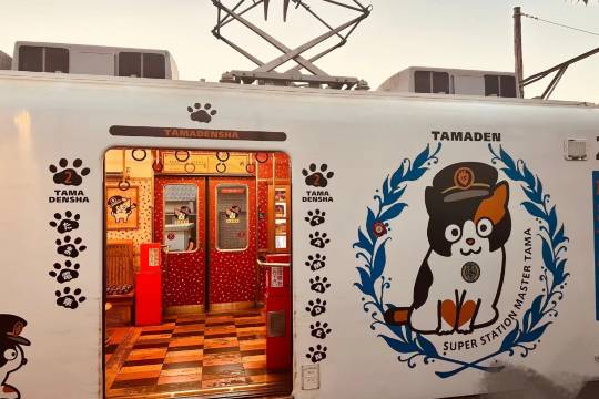 日本和歌山市貴志站+白濱温泉+千疊敷+三段壁一日遊