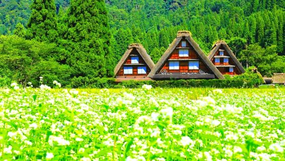 1-day tour from Kanazawa to explore the world heritage sites Gokayama Ainokura and Shirakawa-go, featuring the woodcarving town of Inami