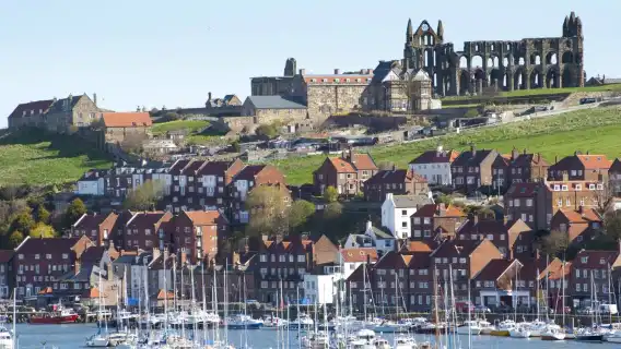 ทัวร์วันเดียว/ทัวร์หลายวัน อุทยานแห่งชาติ North York Moors เมืองยอร์ก สหราชอาณาจักร