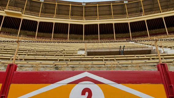 Alicante Bullring: Private Guided Tour