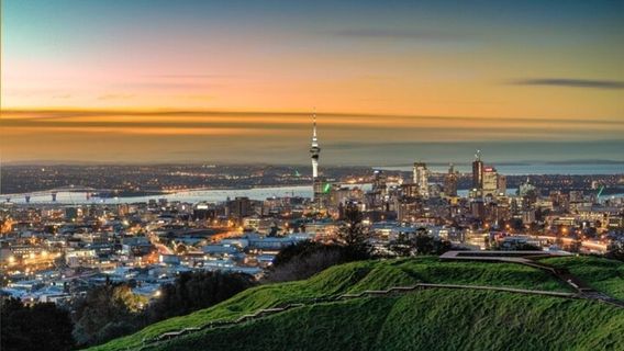 Waiheke IslandTours