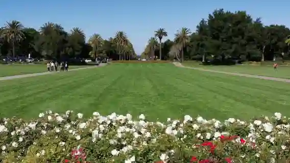 美國舊金山史丹佛大學+胡佛塔+Google總部+矽谷一日遊