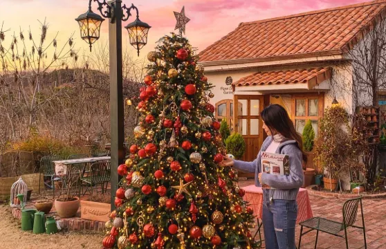 朝陽Trip Moments【婚禮跟拍航拍街拍抓拍約拍/婚紗寫真/商業攝影攝像/翻譯】