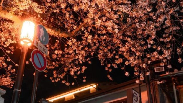 日本京都清水寺+八阪神社+奈良公園一日遊