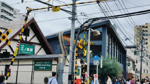 日本東京鎌倉高校前+江之島+鎌倉大佛+鶴岡八幡宮/包車隨心所欲選