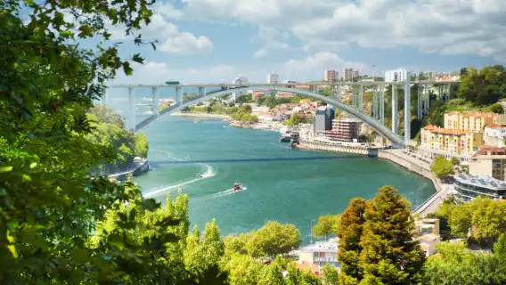 Walking tour of Porto's rich history and culture