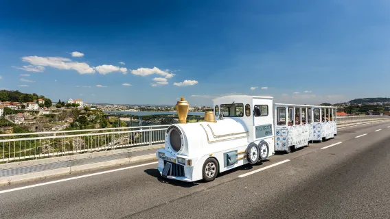 Porto Magic Train: Entry Ticket