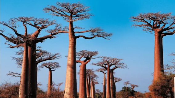 Addis AbabaExperiences
