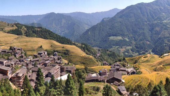Longji Rice Terraces Day Tour