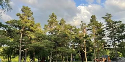 二道起止飛躍長白山+自然博物館+北坡景點一日遊2-6人團