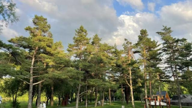 二道起止漂流+恩都里+北坡景點一日遊2-6人團