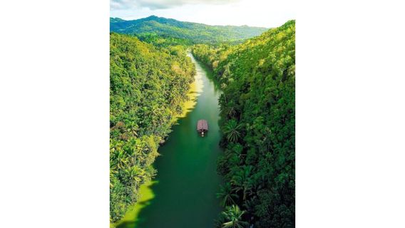 Bohol IslandTours