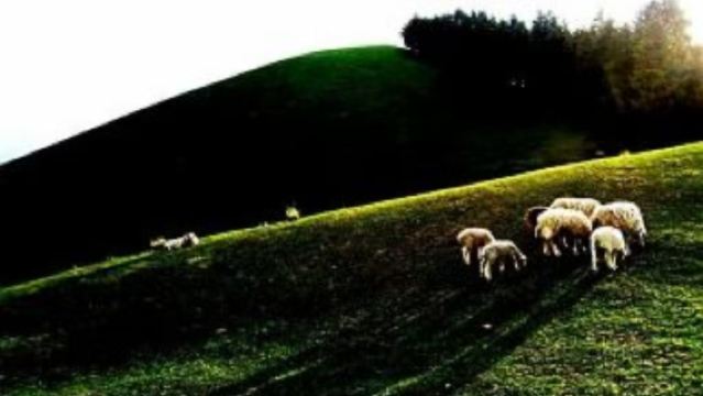 新疆鹽湖景區+南山牧場+達坂城古鎮景區一日遊【精品包車遊】