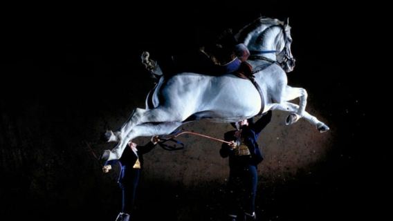 Jerez Private Tour From Seville: Wine and Equestrian Art