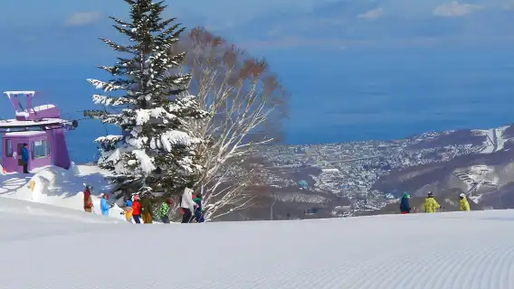 일본 홋카이도 오타루 아사리가와온센 스키장 당일 치기 여행 [스키/스노보드 선택 가능 | 중/영어 강사 | 초보자 환영 | 케이블카 포함 | 장비 완비]