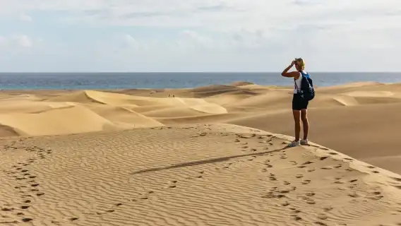 From Las Palmas: Highlights of Gran Canaria Day Tour