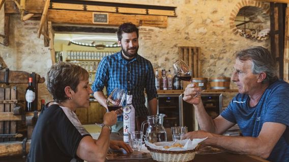 Da Verona: tour delle cantine della Valpolicella con annate di Amarone