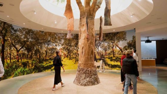 Porto: biglietto giornaliero WOW: esplora, assaggia e divertiti in 2 giorni