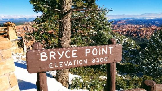 Las Vegas: Bryce and Zion National Parks Tour with Lunch