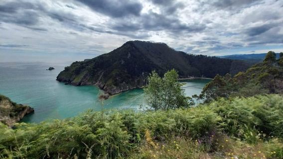 From Santander or Torrelavega: Soplao Cave Excursion