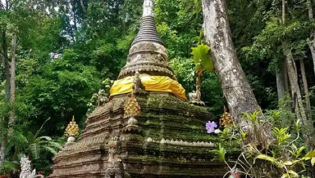 Chiang Mai: Doi Suthep Temple & Sticky Waterfall Trip