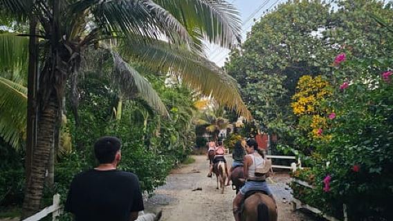 Roatan paardrijtocht kustexcursie & strandvakantie in West Bay