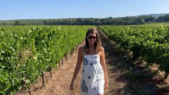 From Marseille: Wine and Scenery around Aix-en-Provence