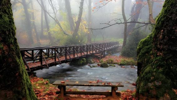 Dari Thessaloniki: Vergina, Agios Nikolaos, dan Edessa