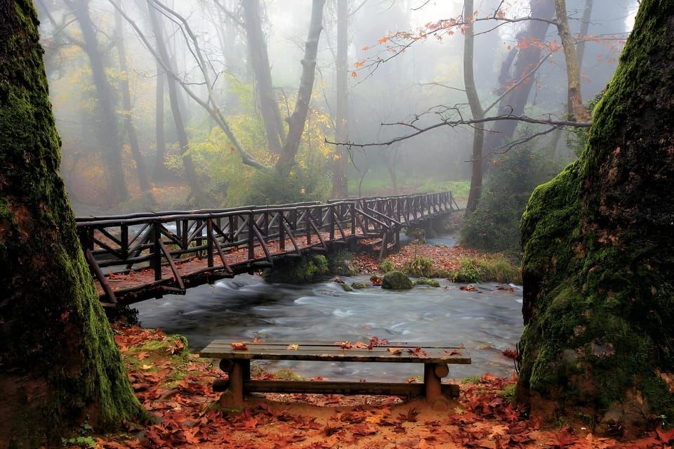 Salonicco: Vergina, Agios Nikolaos ed Edessa, giornata intera