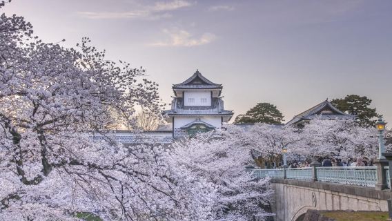 Tour a piedi di Kanazawa: dalle attrazioni locali a quelle più importanti