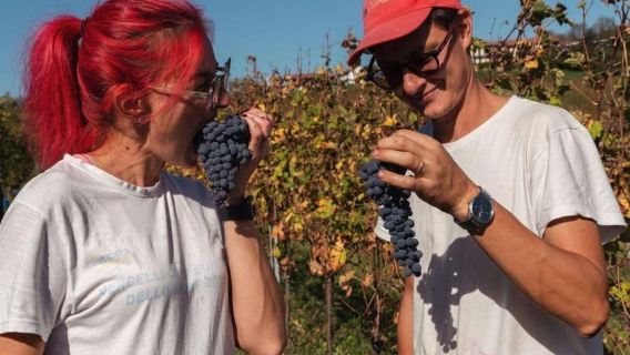 Lawatan Mencicipi Wain dan Kilang Wain berhampiran Asti dan Turin