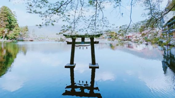 Fukuoka: Beppu Hells HotSpring, Froschtempel und Yufuin Tagesausflug