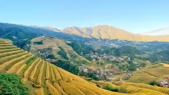 【8人小團｜私人導覽】桂林龍脊梯田-金坑梯田+黃洛紅瑤寨一日遊