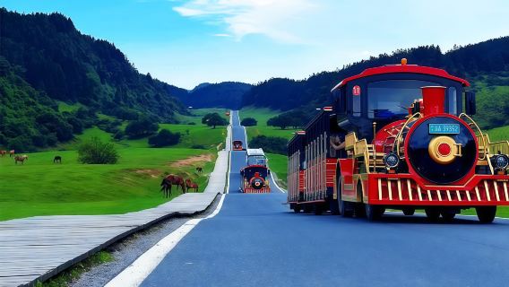 【8點出發·8人團】武隆天生三橋+仙女山森林公園+烏江一日遊