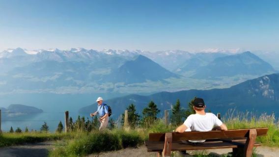 Tour guidato al Rigi con partenza da Zurigo [Escursione a piedi con guida in inglese]