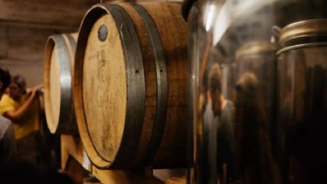 Vineyard Sips: Tur Keluarga ke Kebun Anggur & Degustasi Gourmet di Corfu