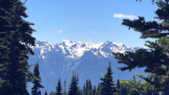 Round-trip from Seattle to Olympic National Park/Customizable itinerary/Instant discount for inquiries