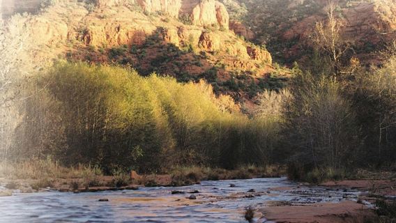 Tour di 1 giorno nella Valle del Fuoco e nel Parco di Zion