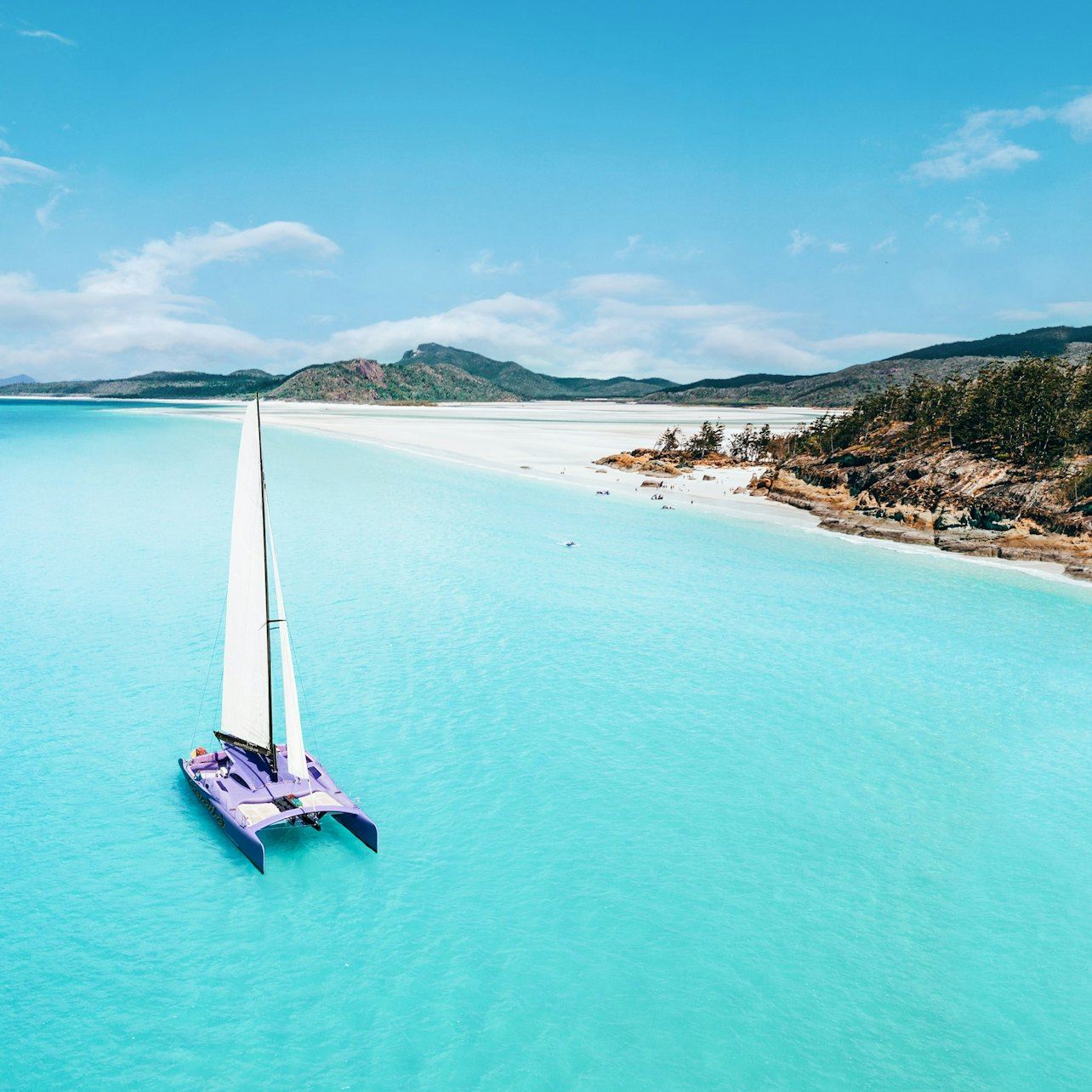 휘트선데이 제도: 에어리 비치 출발 쌍동선 크루즈 + 스노클링 + 점심 식사