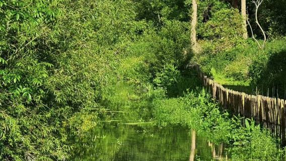 英國倫敦來回周邊精選 博利厄莊園【中文司導 可定制全境包車】