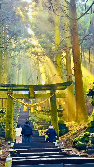 九州秘境ワンデーツアー:上色見熊野座神社＋阿蘇火山＋草千里＋黒川温泉