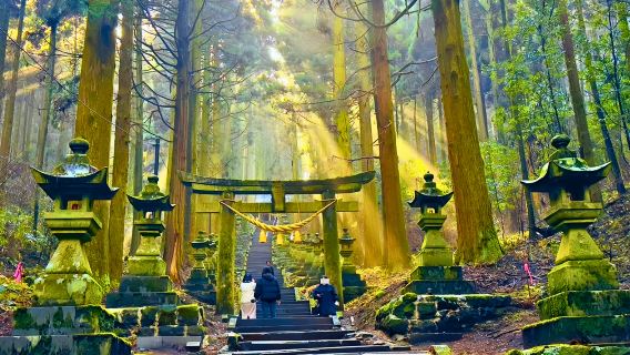 Excursión de un día por los secretos de Kyushu: Santuario Kamishikimi Kumanoimasu + Volcán Aso + Kusa Senri + Onsen Kurokawa