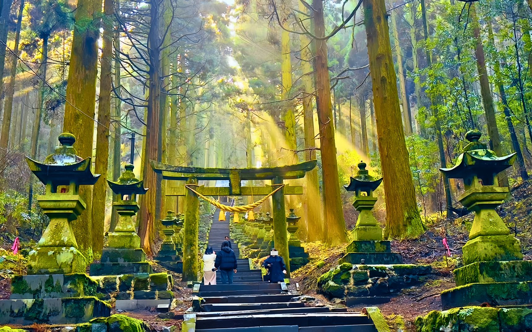 Kyushu Hidden Gems 1-day Tour: Kamishikimi Kumanoimasu Shrine + Mount Aso + Kusasenri + Kurokawa Onsen